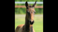 Slider-Thumbnail